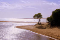 playa cao de la culata