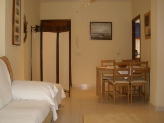 Vista del salon de la vivienda