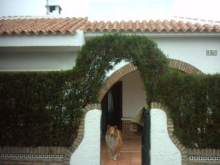 Chalet independiente con césped,setos,árboles, 8 personas, admitimos perro, zona Caño Guerrero(Campo de Golf)