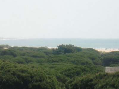 APARTAMENTO CON VISTAS AL MAR EN ZONA MUY TRANQUILA DURANTE TODO EL AO