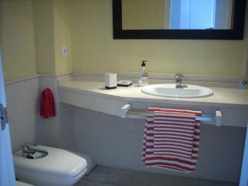 baño con bañera en dormitorio principal
