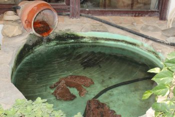 Precioso Chalet de estilo rústico con piscina ( Casa Rural Los Pep (8) 