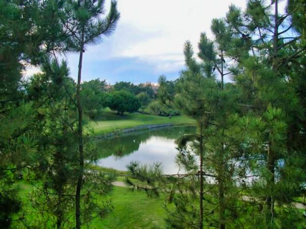 Vistas desde casa