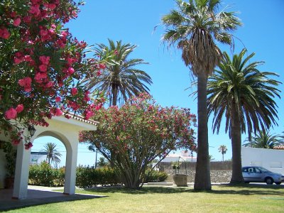 Bonito chalet  en conil a 200 m playa