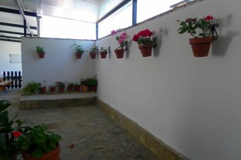 patio flores