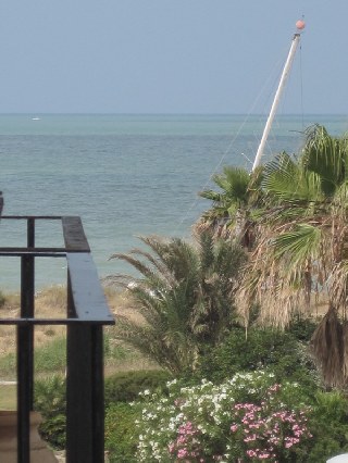 COSTA BALLENA: Rental APARTMENT BEACH FRONT LINE