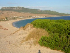 playa Bolonia Foto 6