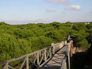 parque dunar