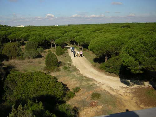 acceso museo marino