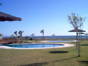 zahara1.jpg