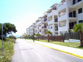 zahara4.jpg